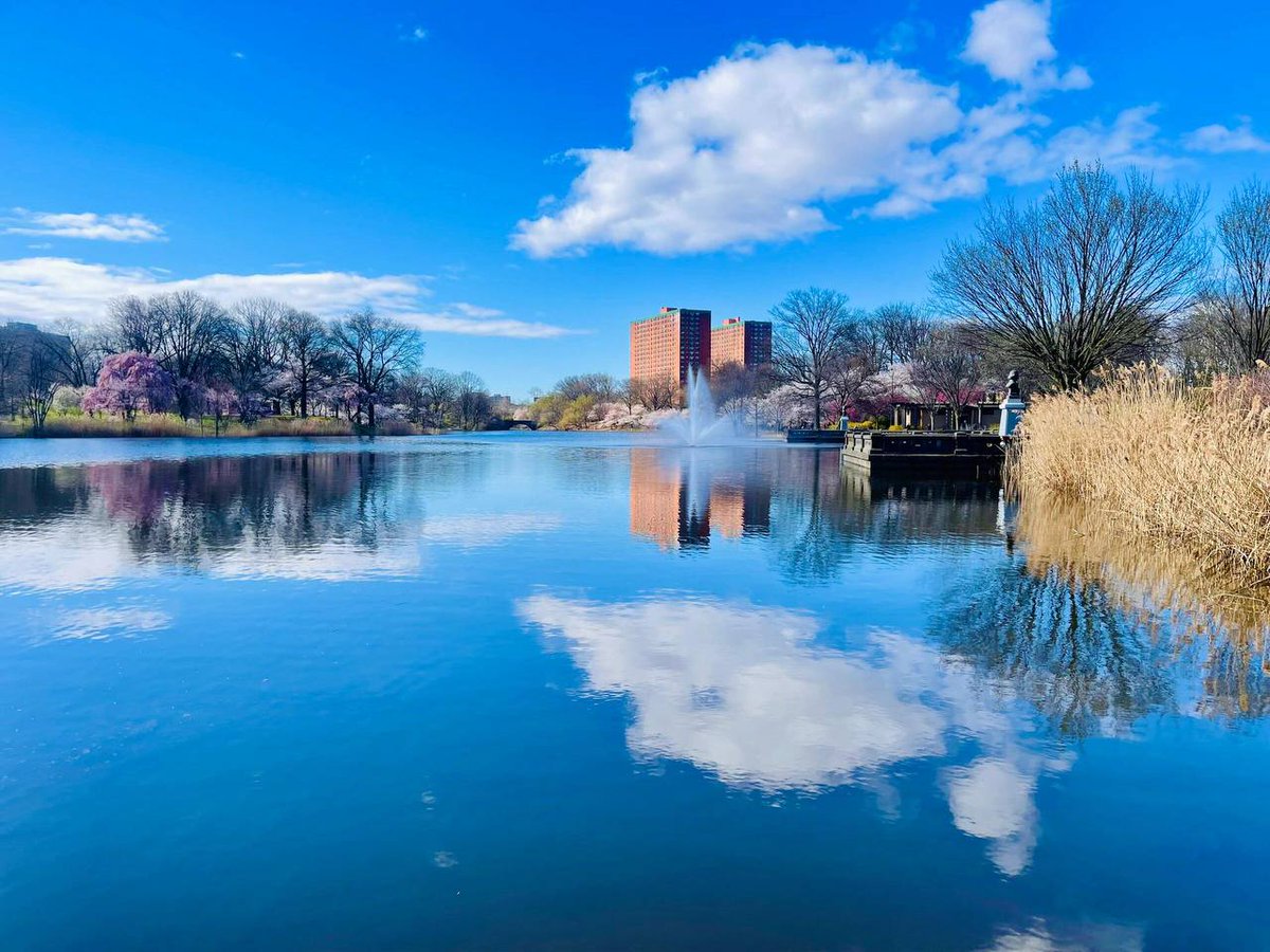 ChannelVID's tweet image. When falling in love, some lose their head, others lose their heart.