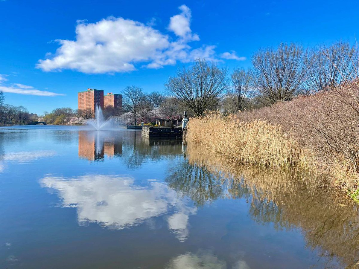 ChannelVID's tweet image. When falling in love, some lose their head, others lose their heart.