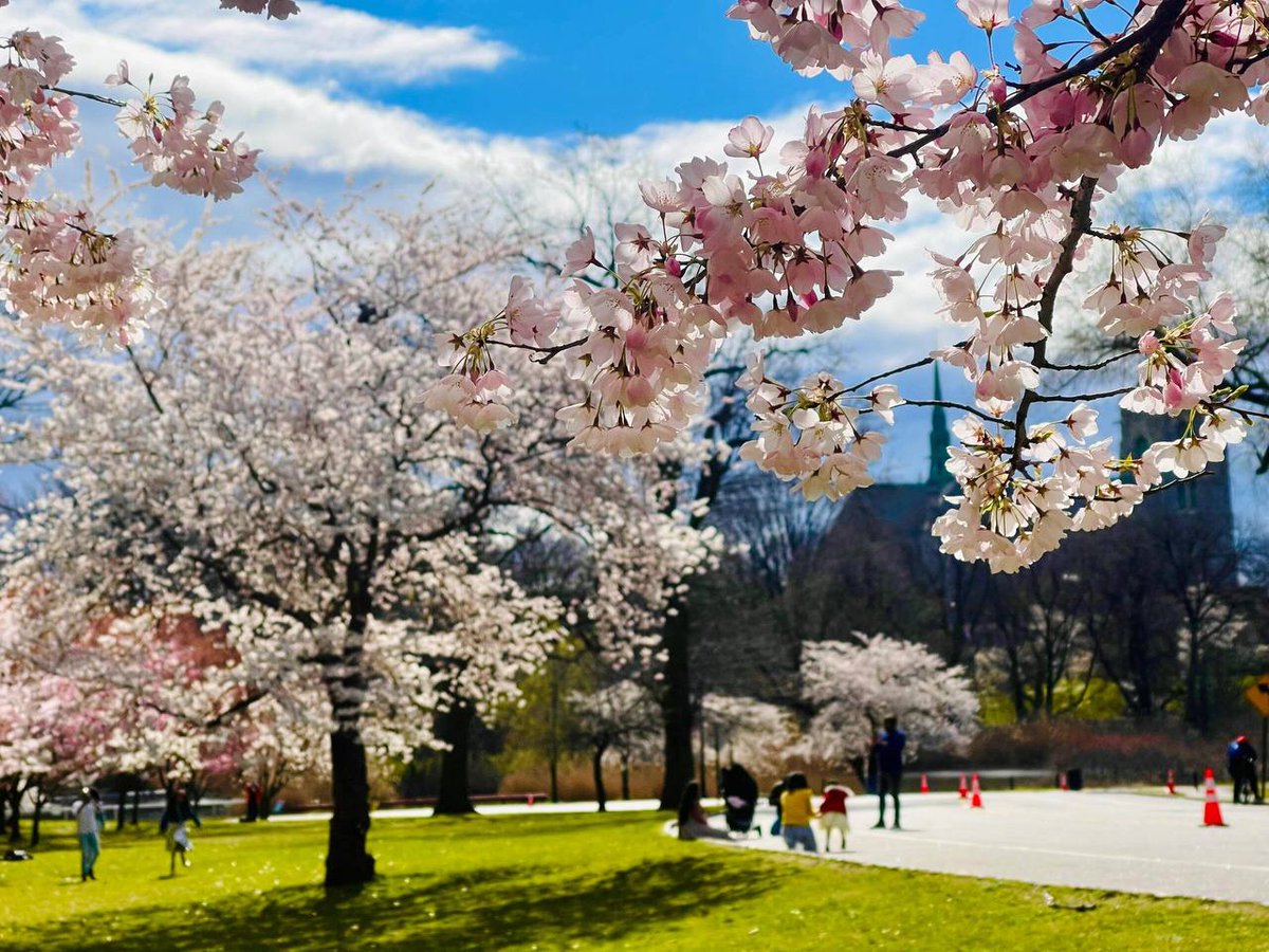 ChannelVID's tweet image. When falling in love, some lose their head, others lose their heart.