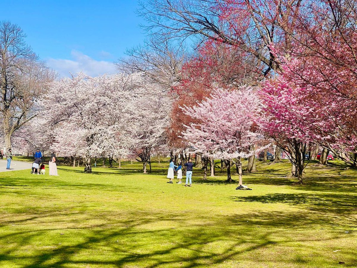 ChannelVID's tweet image. When falling in love, some lose their head, others lose their heart.