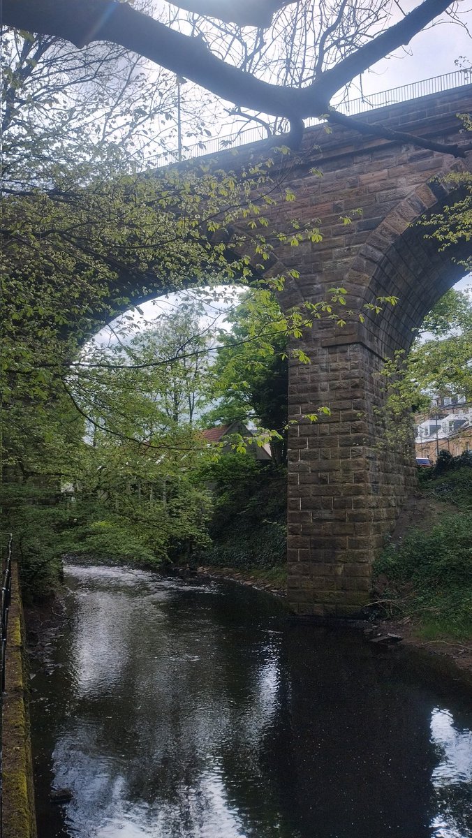 Good, long walk along the Water of Leith with chum, first time walking that way since he lost the last of his rescue greyhounds - felt peculiar not to have a long nosed hound nuzzling me for attention.

#Edinburgh #Edimbourg #WaterOfLeith #bridge #pont #photography #Photographie