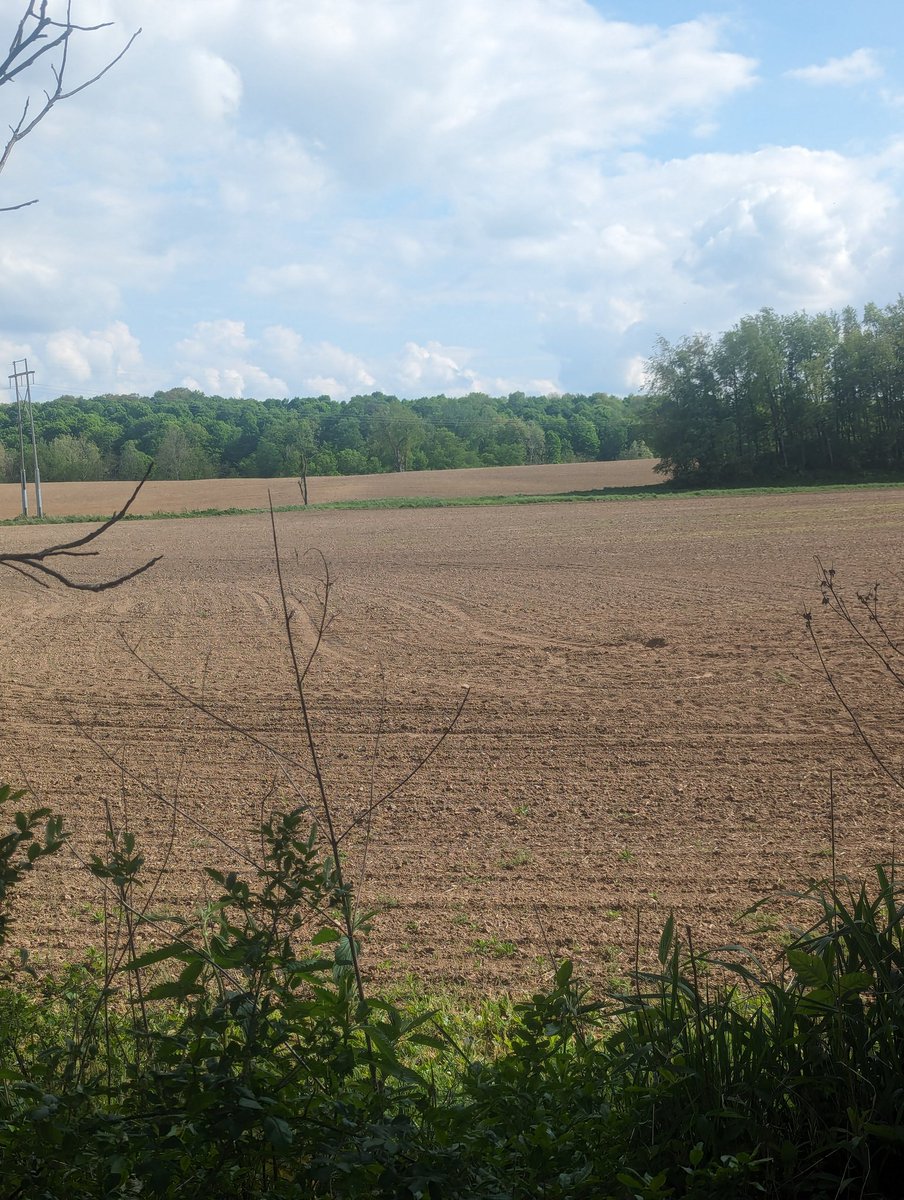 the Lovecraftian horror of ohio