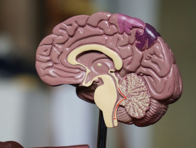 La ciencia demuestra que el uso excesivo de ChatGPT provoca pérdidas de memoria y peores resultados escolares
3djuegos.com/tecnologia/not…