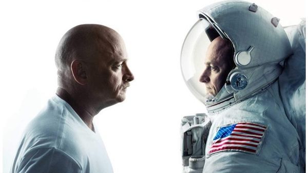 Alba Theory tweet media