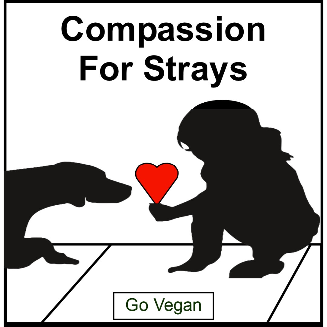 #strays #straydogs #straycats #catsanddogs #compassion