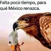 PACIENCIA, MUCHA PERSEVERANCIA, Y CORAJE, Y SEREMOS LIBRES ESTE 2 DE JUNIO.

SACAREMOS AMLO Y A MORENA PARA SIEMPRE DE MÉXICO.

#NarcoPresidenteAMLO54 
#NarcoCandidataClaudia53  
#MorenaCuevaDeDelincuentes 

#XochiltGalvezPresidenta2024 
#XochitlCarroCompleto 
#YoConXóchitl