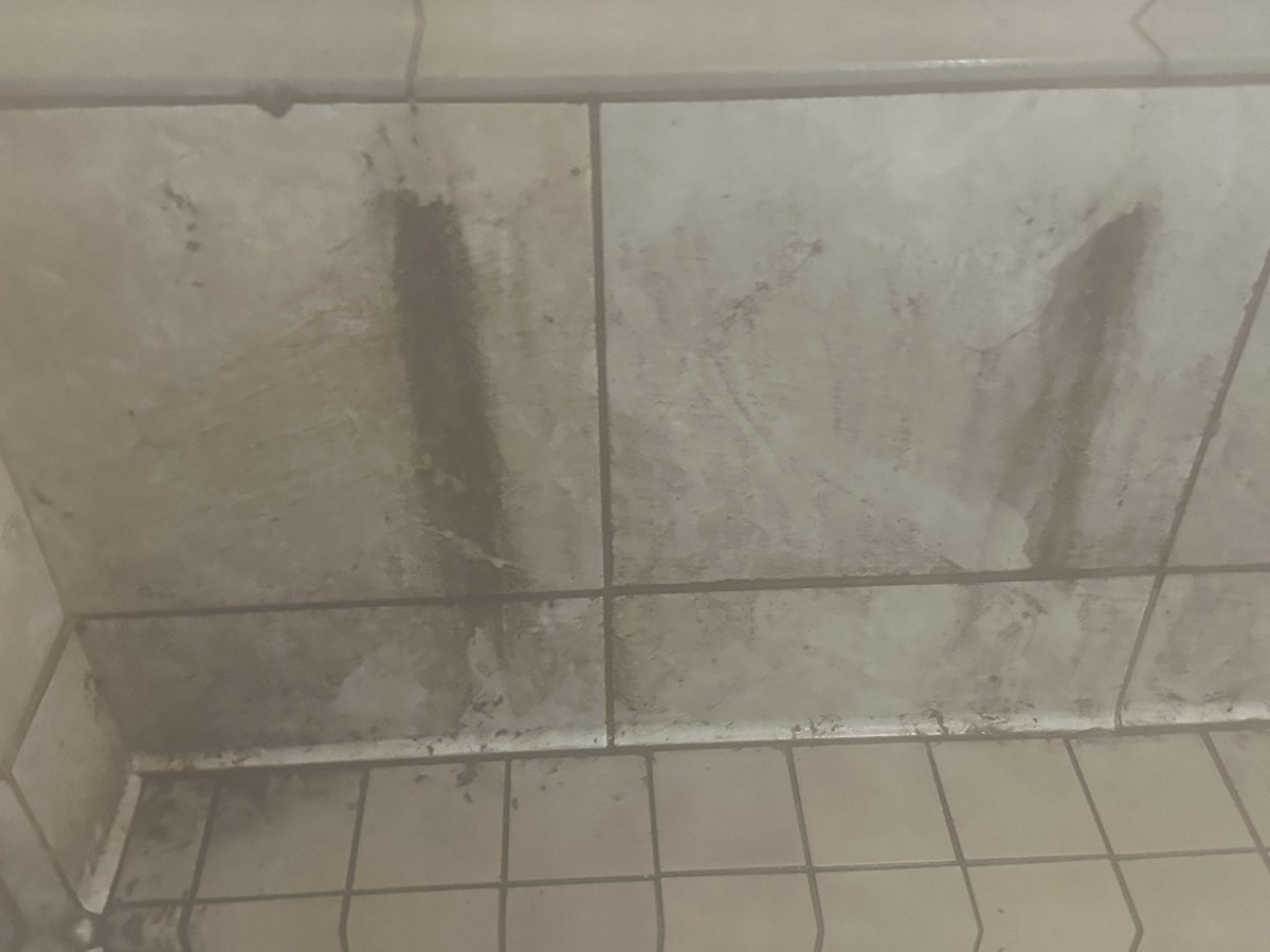 @24hourfitness I love this gym. I’ve been a member for 15 years. With all respect and love it is not OK for your steam room to be this disgusting almost every week. Starting to see used Band-Aids on the floor and mold marks everywhere, and staff not caring - if your company does…