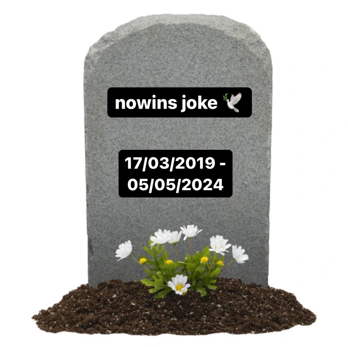 formuleo_'s tweet image. In loving memory.