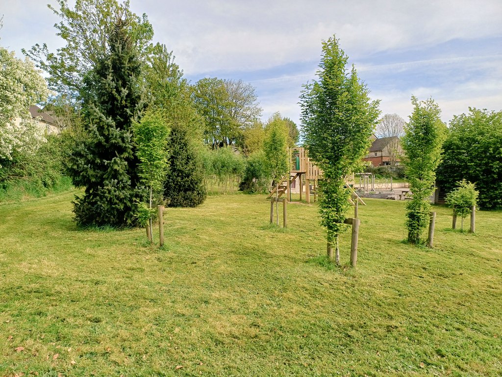Grounds looking good <a href="/GreenwayPrimary/">Greenway PS</a>