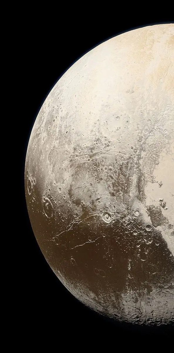 مسبار🔭Misbar tweet media