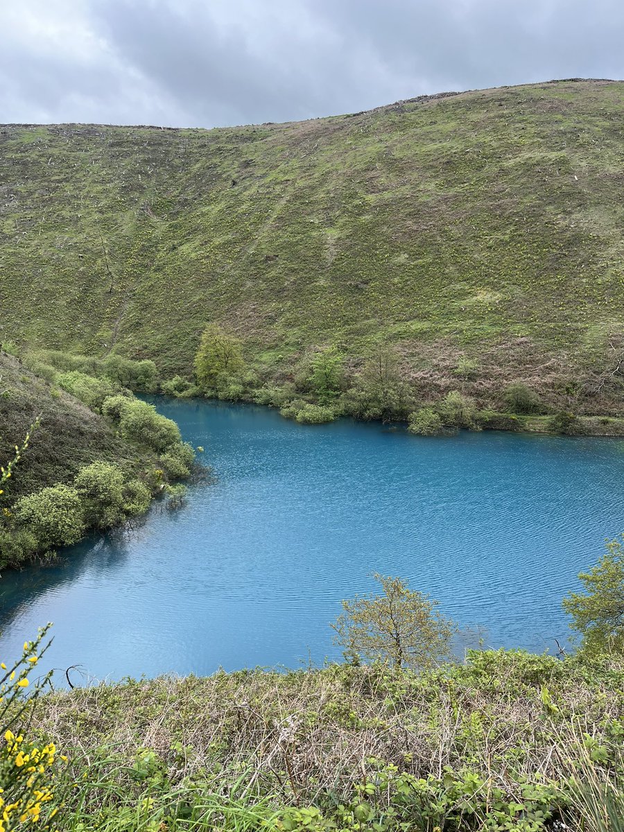 Enjoyed a hike around Brombil Reservoir, Margam today. Its 100ft deep and the striking blue colour is due to algae. Looks like Powerade #wales #porttalbot