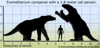 There should be giant sloth sized opossums