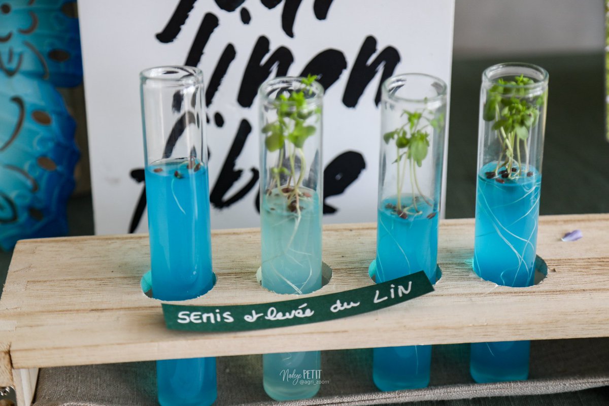 Nadège PETIT 👩‍🌾 tweet media