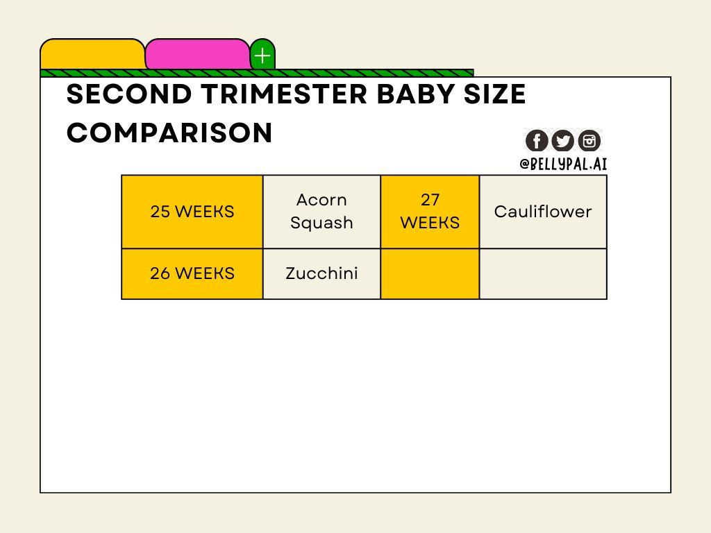Size of your baby during the second trimester!
#secondtrimester #pregnancy