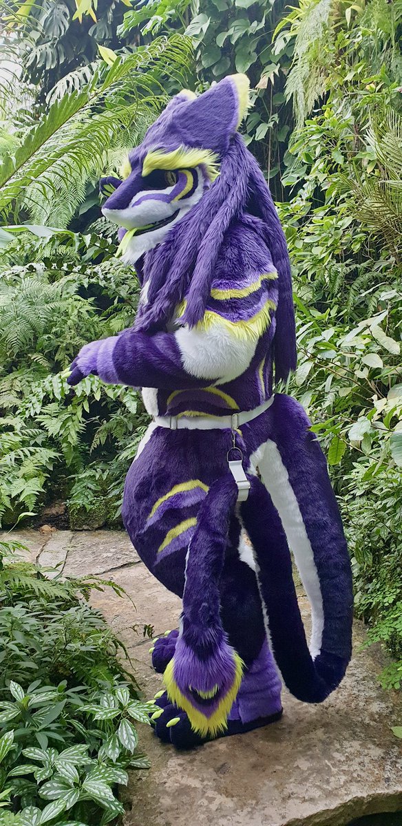 Are you coming with me on my search for cheese 🧀 ? #SergalSunday 🪡 + 🎞️ @whitewingsuits #Sergal #Cheese #Fursuit #Furry #Furryfandom #Fursuiting #FursuitEveryday