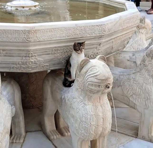 ⛲　🐈‍⬛