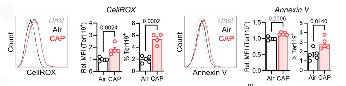 @CircRes #Environmental Impacts on #Cardiovascular Health & #Biology Compendium Alert! Asplund & colleagues found that inhalation of #FineParticulateMatter reduces the function of #splenic #RPM which lowers rates of #erythrocyte clearance. Learn more at ahajrnls.org/3UL7p91