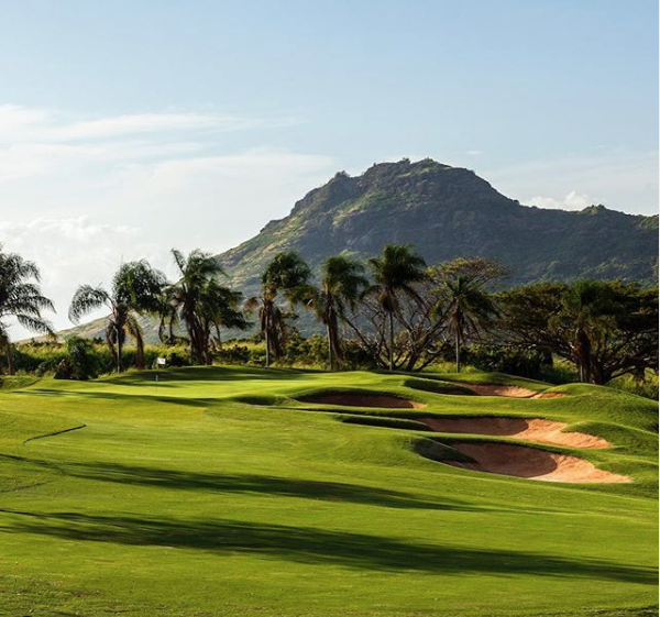 Happy Cinco de Mayo from @puakeagolf ⛳

#GoGolfKauai #CincodeMayo #Golf #Hawaii  #GolfLife #HawaiiGolf #GolfCourse #GolfHawaii #Golfing #Kauai #KauaiGolf