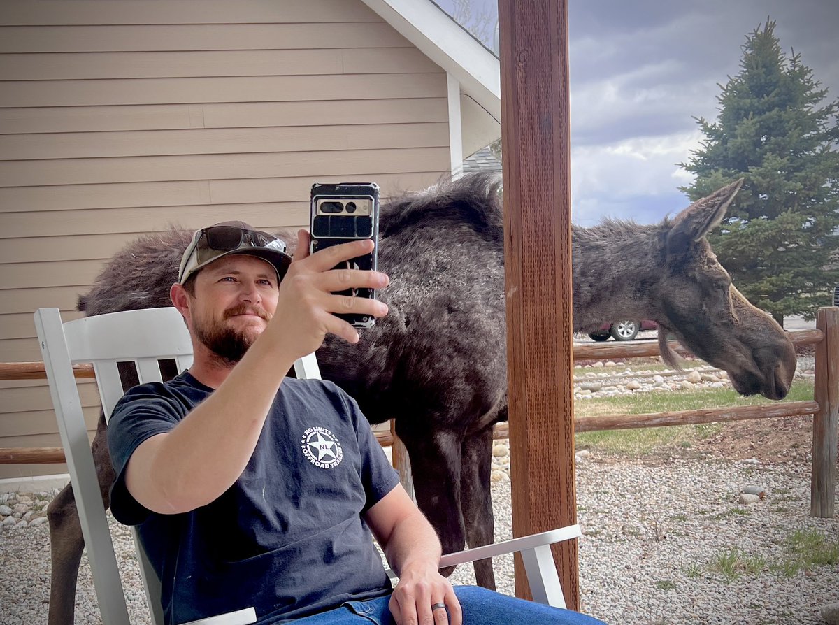 OffRoadTrailers's tweet image. Just another day in Wyoming… #Moose
