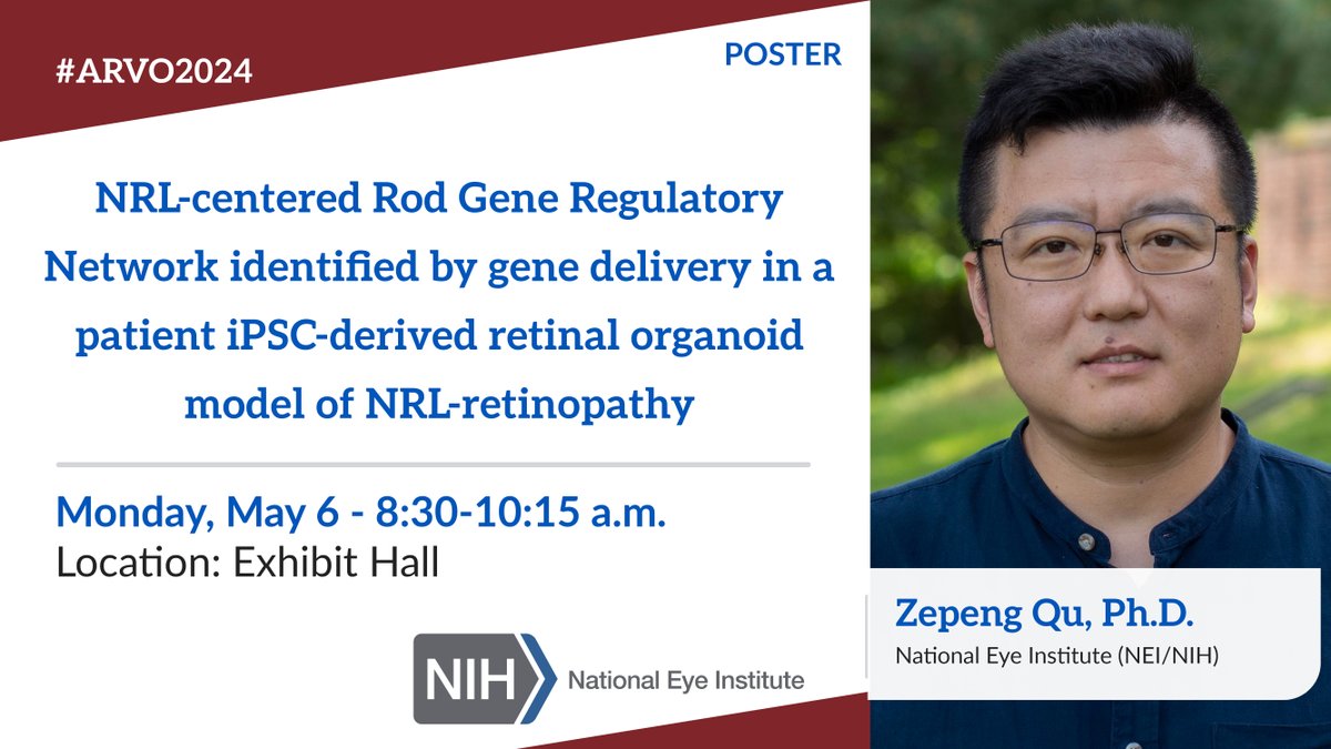 (3/3) More #NEI presentations and posters to see. Make sure they're in your Monday schedule! @QuZepeng