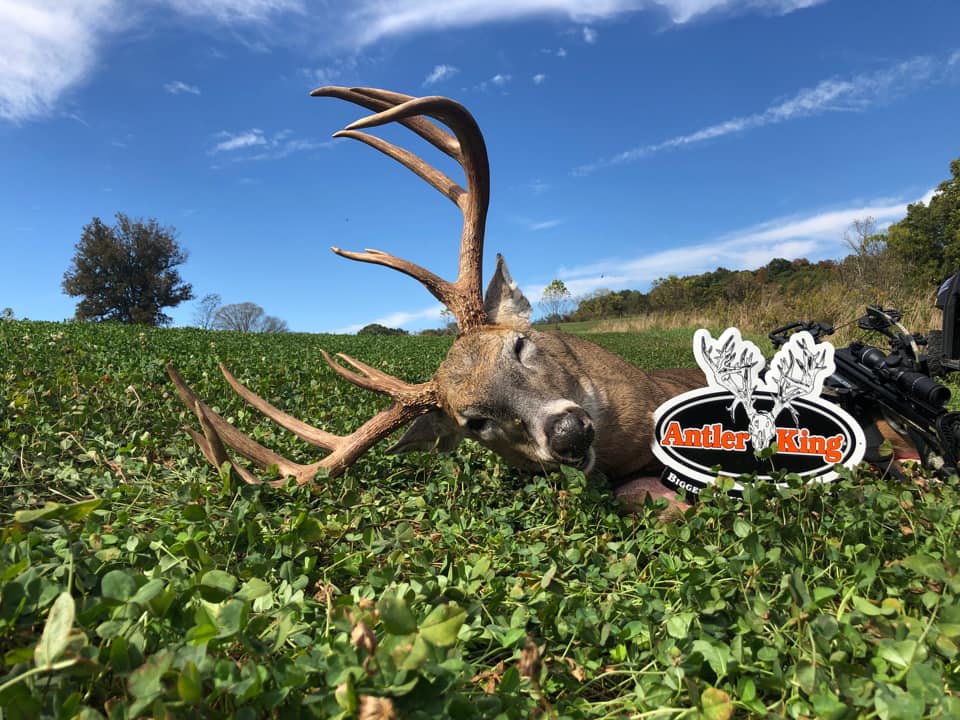 A picture perfect moment so many hunters dream of.

#antlerking #biggerbucks #healthierdeer #foodplot #deerseason #whitetail #whitetailhunting #deernutrition #LandManagement #wildlifemanagement #fieldtoplate #deerhunting #bowhunting #bowhunter #BBD #bigbucks #hunting #bigdeer