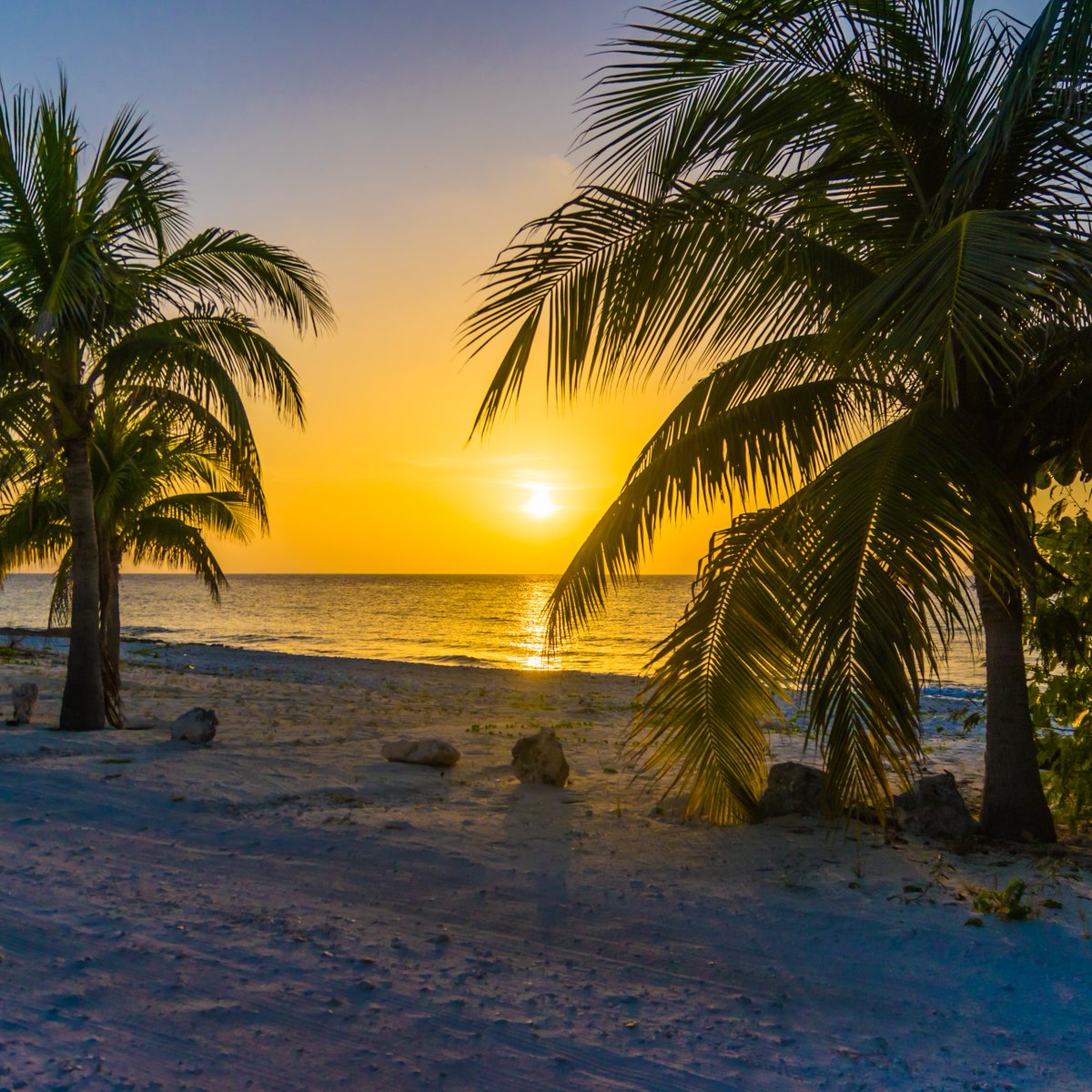 As Sunday brings a close the weekend, the Cayman sky paints its secrets in hues of gold. Join us for golden hour, where the sun meets the sea, and mysteries unfold. #visitcaymanislands #goldenhour #caribbeansunset