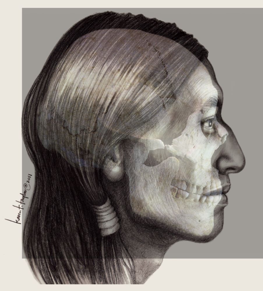 kttfacialimages's tweet image. My fall drawing workshop at @factxstate will be from September 9-13, 2024.  We learn about postmortem depiction from morgue and crime scene photos and also study 2D reconstruction from the skull.  Details here: txst.edu/anthropology/f…
#forensicart #karenttaylor