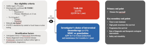 urotoday's tweet photo. #MoonRISe-1: Phase 3 study of #TAR210, an erdafitinib intravesical delivery system, vs intravesical chemotherapy in patients with IR #NMIBC with susceptible FGFR alterations. Presentation by @UrogerliMD @MoffittNews. #AUA24 coverage by @zklaassen_md > https://t.co/PLxaameO8k https://t.co/LYoU96ufzc