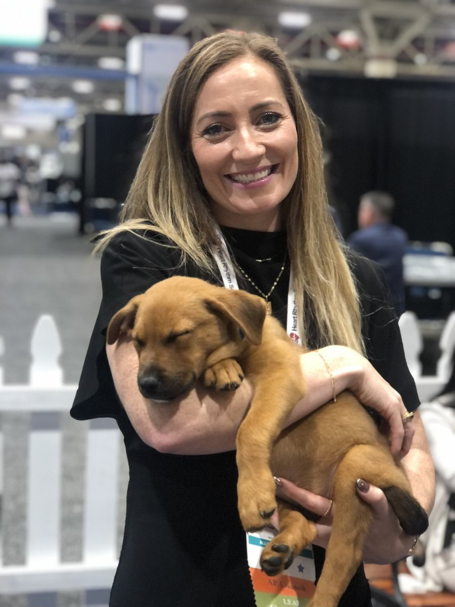 ECG_Emily's tweet photo. Really looking forward to seeing everyone at #HRS2024, but I have an important question for @HRSonline… Will the Take A Paws puppies be making a return this year? 🐶 ❤️ #TakeAPaws https://t.co/WAulfMV0Xg