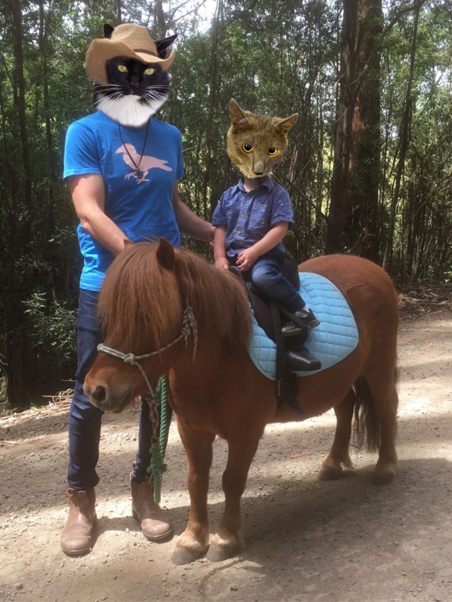 @MrWuggums @madameraerae @XanawuCats @TwoTabbyTails @TedNTodd @all_fur_matters @Angie390460 Rocky @Angie390460 is on the trails with O’Mally @KandHarpo that little. It was over the moon to be able to ride a pony 🐾🧸🐾 #chilltent #cactusgulch #Fiesta #XPups #kittytwitter #XCats