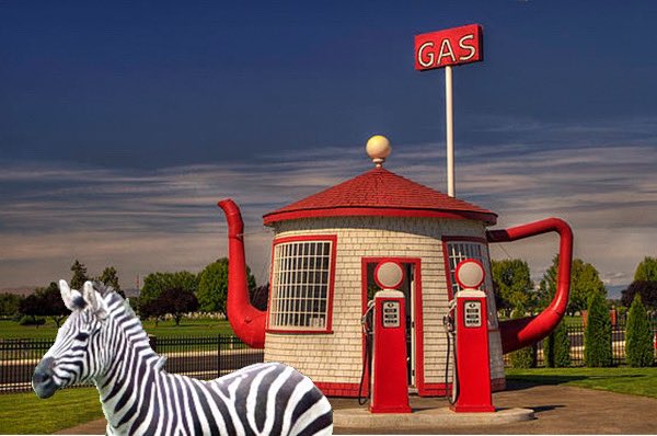 Just hoofin' it around Washington and HAD to get a pic with the famous Zillah Teapot! This escape from the ordinary was wilder than anyone could have imagined. 

#WashingtonAdventures #ZebraOnTheLoose #TeaTimeAnyone #ZillahWA #yakimavalley