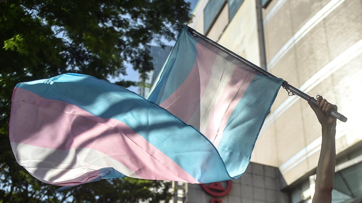 Demonstrators across France rally for trans rights after Senate report ➡️ go.france24.com/byF