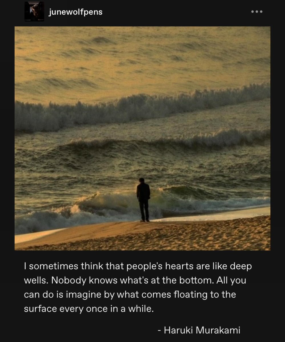 “I sometimes think that people’s hearts are like deep wells. Nobody knows what’s at the bottom. All you can do is imagine by what comes floating to the surface every once in a while.”

— Haruki Murakami