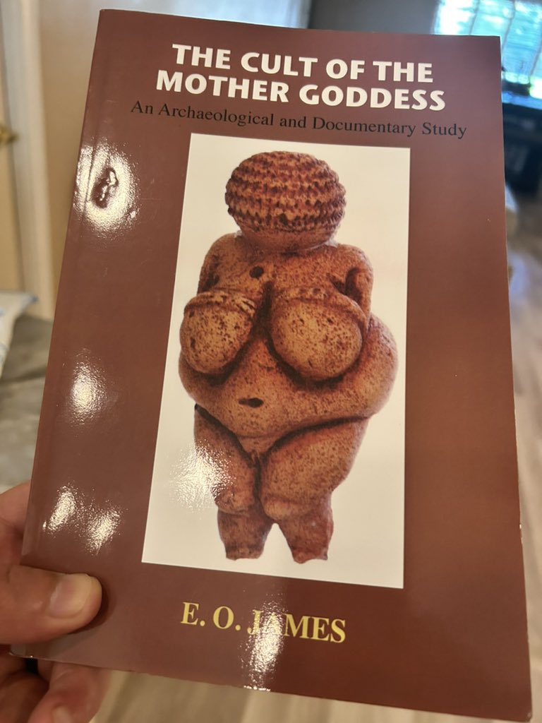 Latest addition to the library. In looking at this first ever depiction of the goddess Venus, I can’t help but imagine that if this statue had lost its head and legs how we’d be saying our ancestors worshipped aliens…or frogmen…KEK 🐸😂