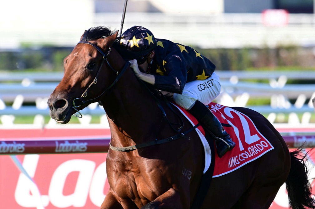 ELMALKA wins the One Thousand Guineas, the 1⃣1⃣th Group 1 winner for KINGMAN! KINGMAN is the second fastest stallion in history to record 50 NH bred Stakes Winners💥 Widden Victoria will stand his exciting 2YO Group 1 winning colt 👑KING COLORADO👑 this season. @vicbreeders