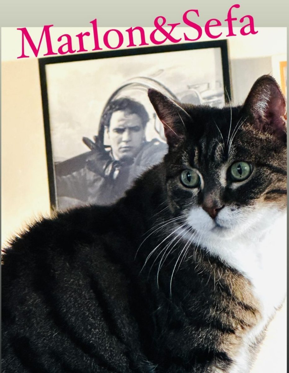 Posteo de #Sefa  en las historias de Instagram de #EnginAkyürek