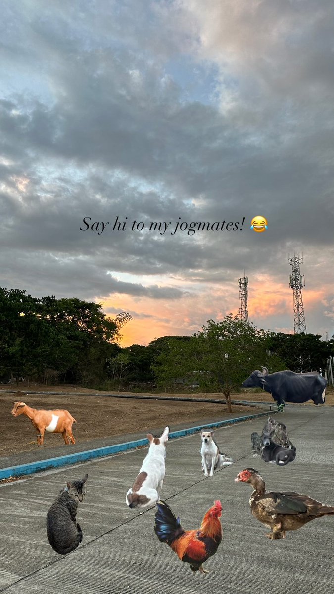 RoothieAngeles's tweet photo. As a slow runner. 😂 with my jog-mates every morning. 🌥️ https://t.co/TPA5khnqIE