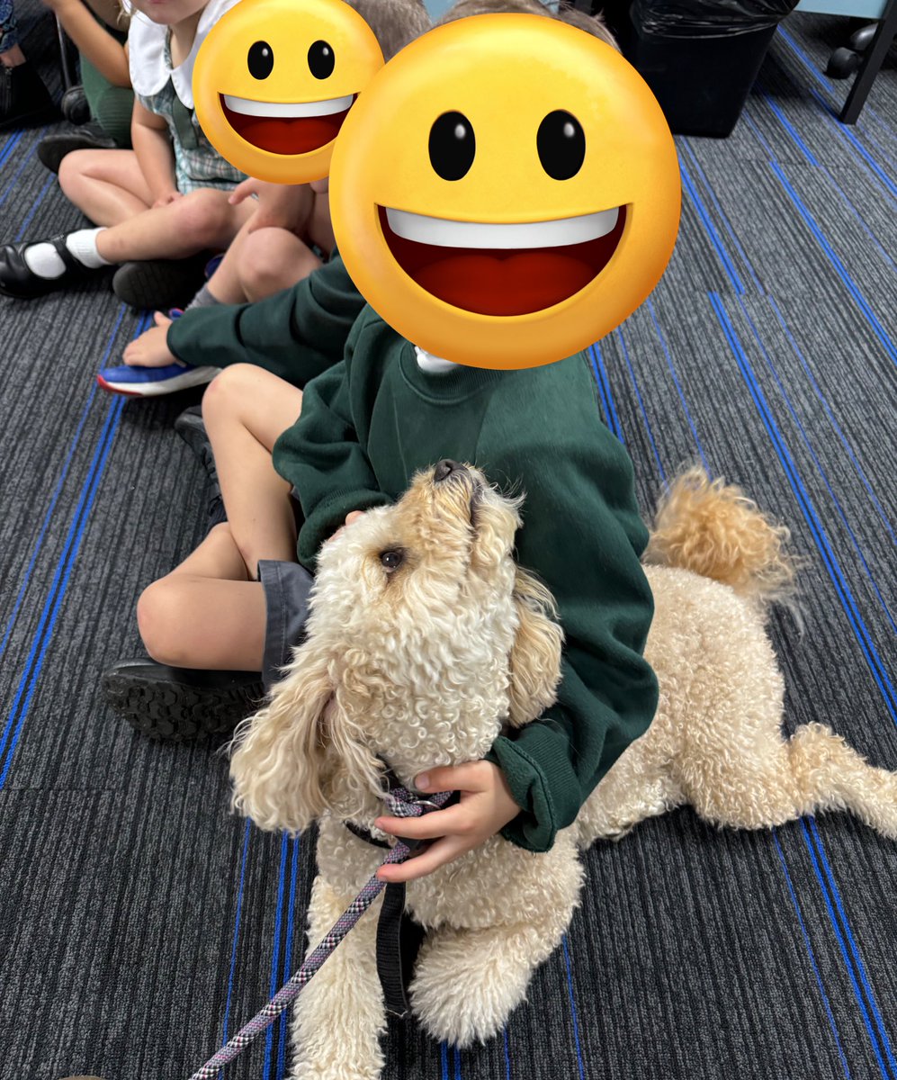 Therapuppy1's tweet image. Jellybean is checking that his friend is ready to do good learning. #goodlearning #MondayMotivation #Jellybean #schooldog #dogsofeducation #lovewhatwedo