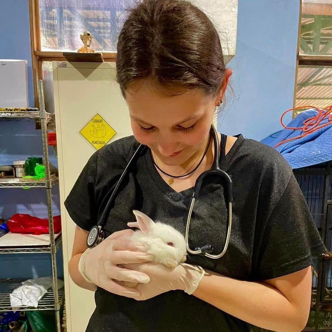 What will they be doing after graduation? Veterinary Science graduate and University Scholar, Ainsley Watt, will head to Knoxville to attend the @utcvm. One of over 20 Skyhawk Aggies heading to Veterinary school after graduation. Soaring! #beUTMproud #BeOneUT