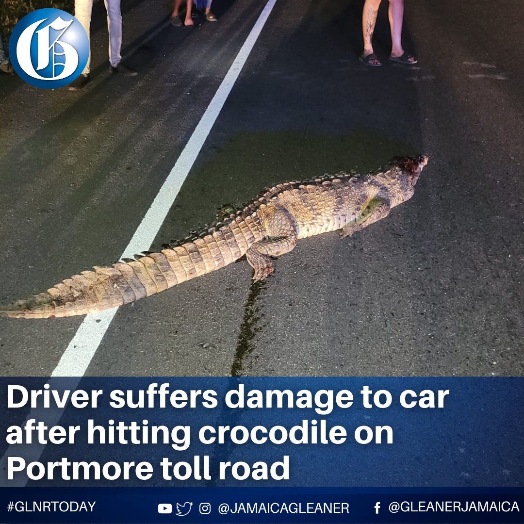 A motorist on Saturday night suffered damage to his car along the Portmore toll road in St Catherine after hitting a crocodile that crawled into his path. The police say the driver did not complain about any physical injuries.

Read more: jamaica-gleaner.com/article/news/2… #GLNRToday