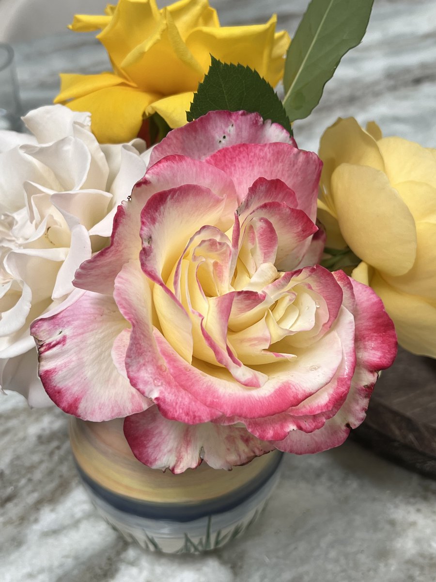 More roses...on the kitchen island