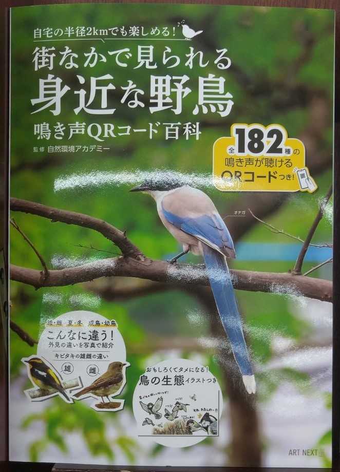 日本の野鳥をたっぷり182種類収録した図鑑
「街なかで見られる身近な野鳥　鳴き声ＱＲコード百科」発売中です！
#街なかで見られる身近な野鳥
#鳴き声ＱＲコード百科
#I・P・SMOOK
#自然環境アカデミー
#ARTNEXT