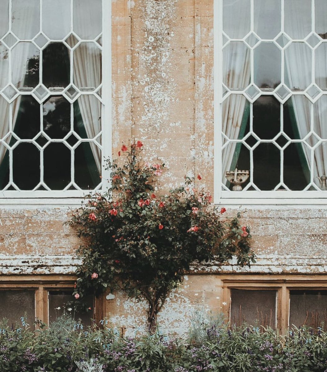 most beautiful sash windows-⚜️