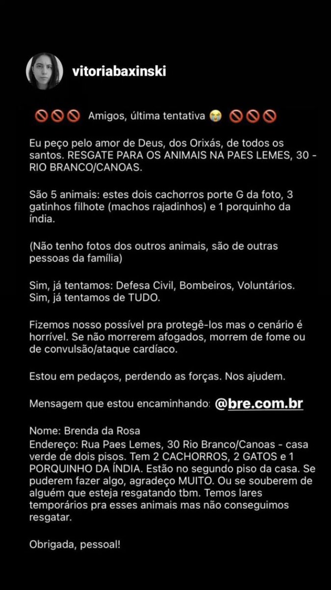 WagnerCanal's tweet photo. RT PESSOAL , RIO BRANCO CANOAS https://t.co/5gQerOnK7q