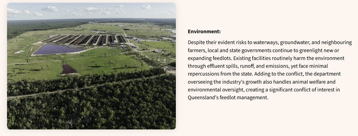 @animalkind_aus 'facilities routinely harm the environment through effluent spills, runoff, & emissions, yet face minimal repercussions from the state... the dept overseeing the industry's growth also handles animal welfare & environmental oversight, creating a significant conflict of interest'