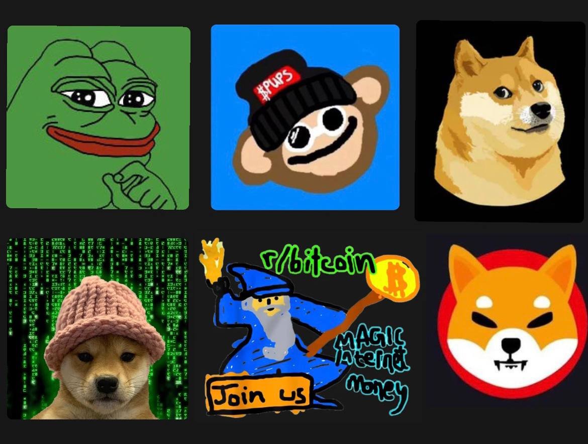 SummerTime tweet media