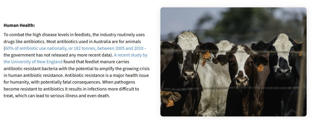 @animalkind_aus a recent study 'found that feedlot manure carries antibiotic-resistant bacteria with the potential to amplify the growing crisis in human antibiotic resistance. Antibiotic resistance is a major health issue for humanity, with potentially fatal consequences'