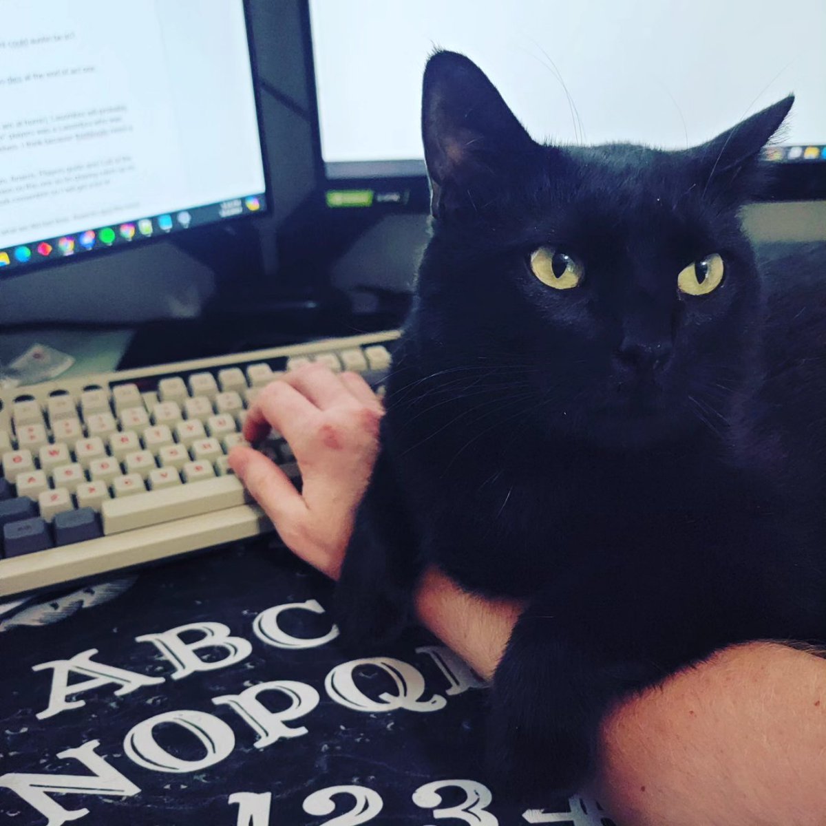 Salem really wants to help me write this @worldofdarkness LARP. Unfortunately, his main idea is 'more treats'. #vamily #worldofdarkness #vampirethemasquerade