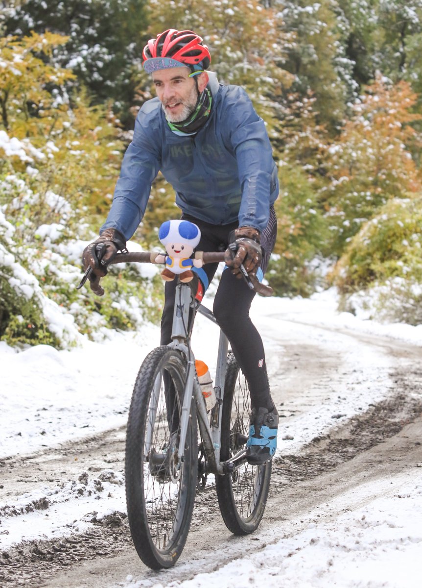 FearlessBikes tweet media