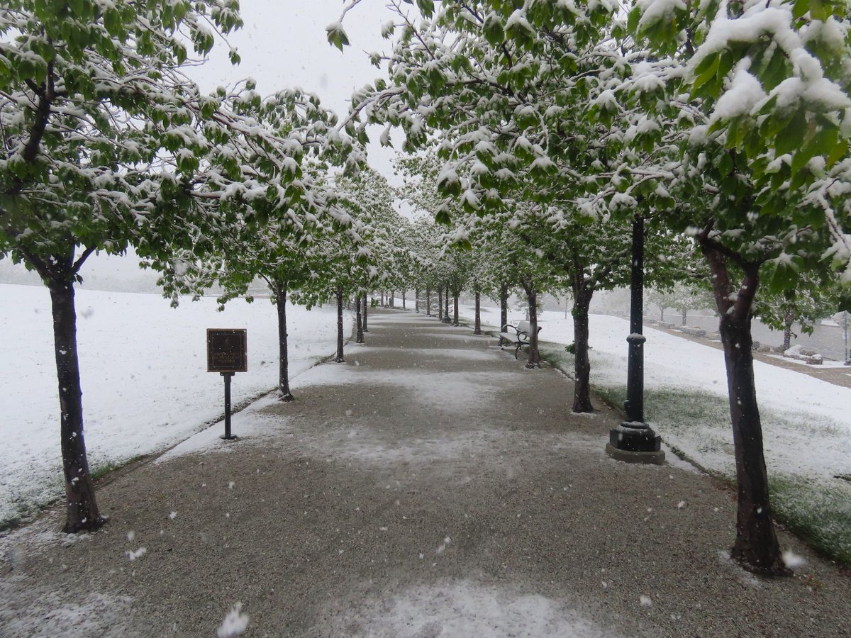 MAY SNOWSTORM: ⚠❄ A Winter Storm Warning is in effect through Tuesday as heavy snow hits parts of Utah. More information & photos: bit.ly/3yed7aw 📸1, 3, 4: Stuart Graves in Salt Lake City 📸2: Trudy Petersen in Midvale